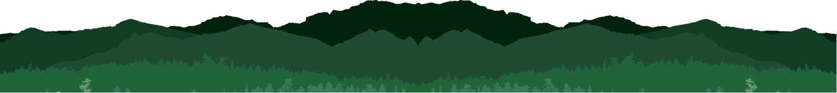 Footer Background